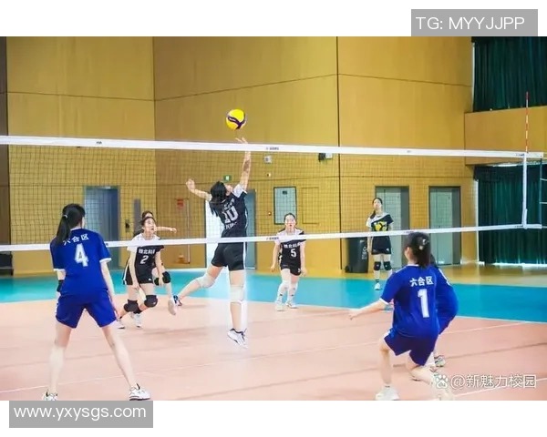 南京排球队最新排球配合技巧TOP10引领潮流助力比赛胜利