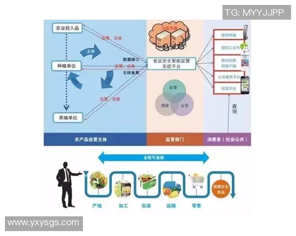 广州篮球队运营全景解析：从管理到市场的深度剖析与发展策略