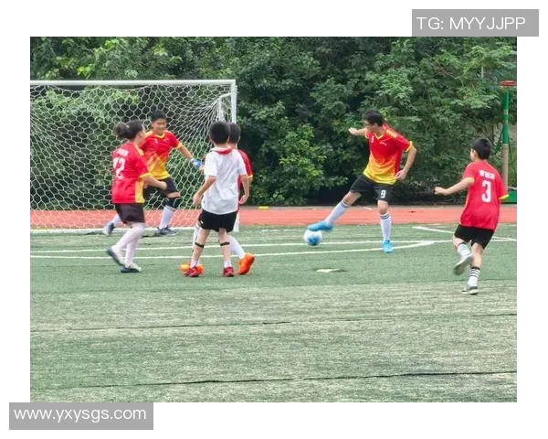 成都足球队比赛经验分享聚焦球队成长与未来发展之路