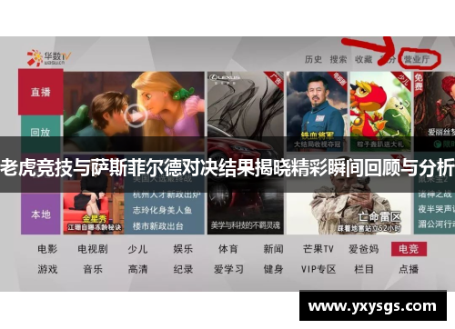 老虎竞技与萨斯菲尔德对决结果揭晓精彩瞬间回顾与分析