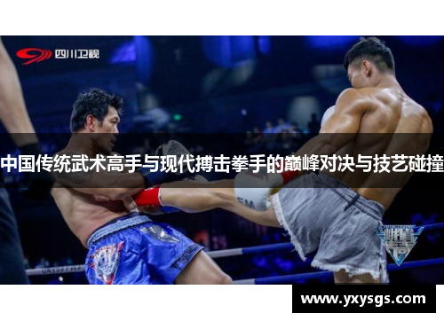 中国传统武术高手与现代搏击拳手的巅峰对决与技艺碰撞